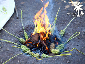 Hurda Party – Hurda Party In Pune | One Day Picnic Spot In Pune